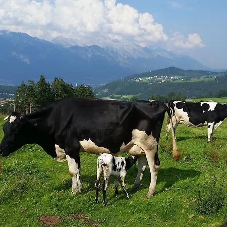 Apartament Stillerhof Innsbruck